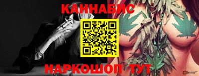 МДПВ Новозыбков
