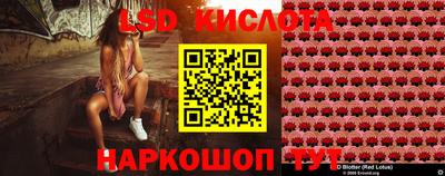 МДПВ Новозыбков