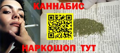 МДПВ Новозыбков