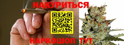 МДПВ Новозыбков