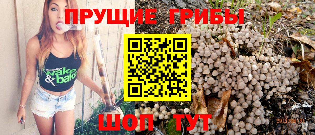 Галлюциногенные грибы мицелий Пенза