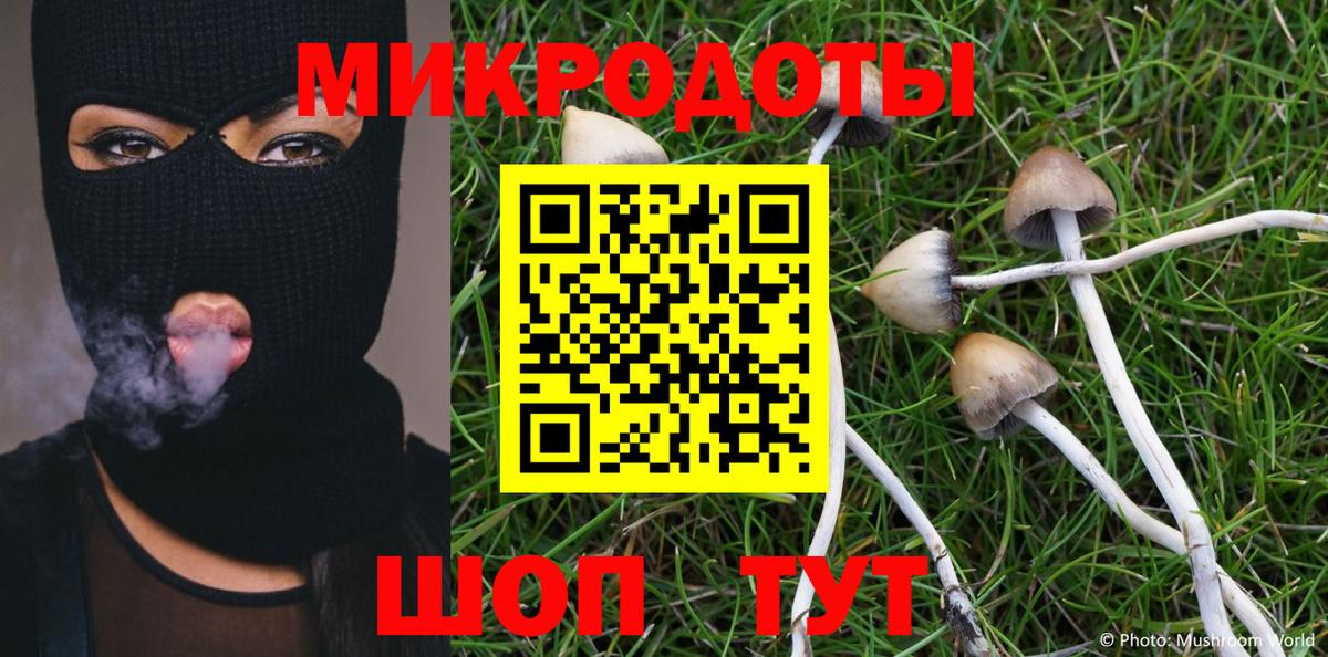 Пенза  Псилоцибиновые грибы ЛСД  Псилоцибиновые грибы Cubensis  Вход с VPN 